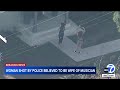 Policija upucala suprugu američkog muzičara (VIDEO)