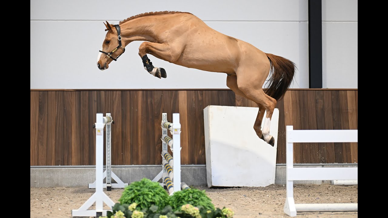 Chaplin VD Berghoeve Z