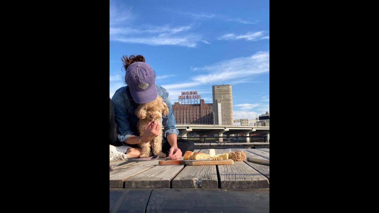 Quebec picnic; baguette, wine & CHEESE,...(my homemade cheeses...lol)