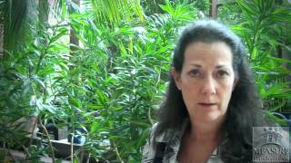 Krista Stewart addresses USAID's Evaluation Policy