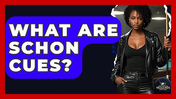 What Are Schon Cues? - Billiards Hustlers