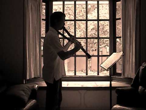 Piazzolla Tango Etude No 3 - Michael Hodgkins (cla...