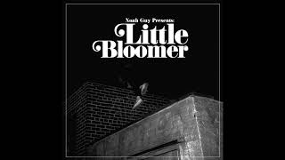 Video thumbnail of "Noah Guy - Little Bloomer (Official Audio)"