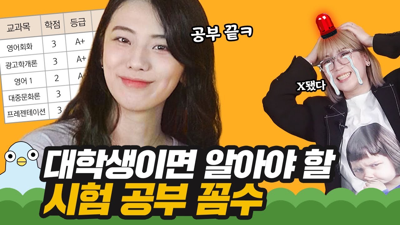 새내기 땐 모르는 대학교 시험 꼼수 [이십세들]