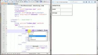 html tutorials lecture 7 table ,form explained also submit from professional web designi