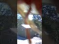 Even the wasps like our Reflection Cabin.. #lakegodstone #wasps #naturelover