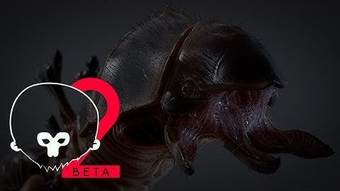 Marmoset Toolbag 2 Beta - AntLion