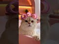 Лучший ВПН в 2026 году #vpn #впн #shorts #бесплатныйвпн #новыйгод