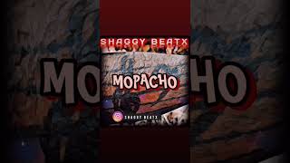 Mopacho Beat By Shaggy Beatx