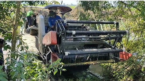 máy cắt lúa 70 Lên phà Cắt với  máy 102 tập1089 #maibangtv