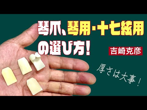 琴　初心者？ 箏（こと） 十三絃、十七絃 - 井手口楽器店