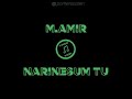 M.AMIR - Narinesum tu / LYRICS VIDEO / Pomere Sozen