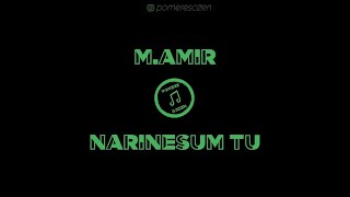 M.AMIR - Narinesum tu / LYRICS VIDEO / Pomere Sozen