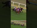 Cosmic Crusader remains UNBEATEN in VIC 😤