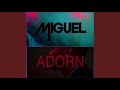 Miguel - Adorn (Vinyl Cover)