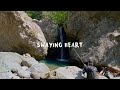 渓流に心揺さぶられたひととき【渓流釣り】