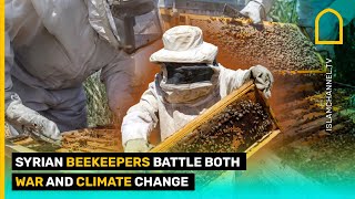 Syrian beekeepers battle both war and climate change