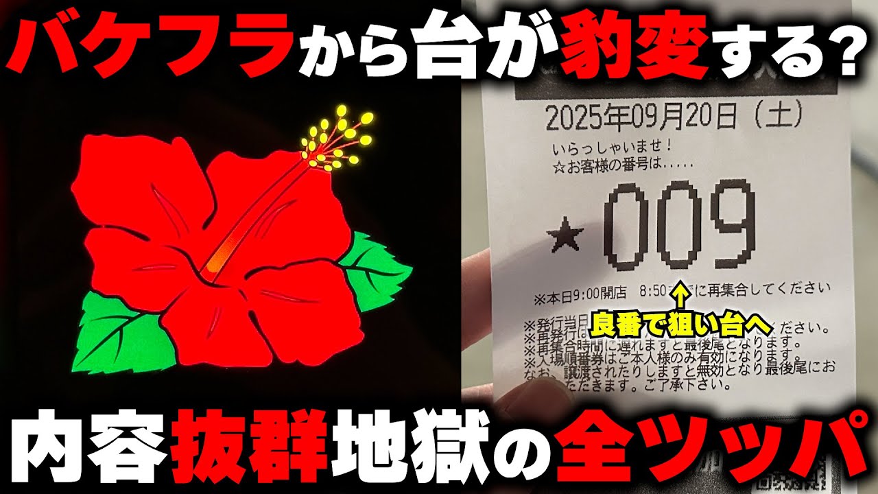 【キングハナハナ】一桁良番で狙い台確保...内容抜群×根拠で諦めない全ツッパ...【パチンカス養分ユウきのガチ実践#435 】