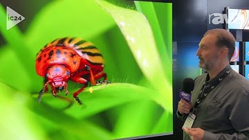 InfoComm 2024: i5LED Highlights Lineup of LED Displays with COB Flip-Chip Technology