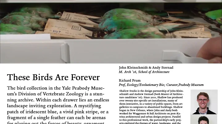 These Birds Are Forever by John Kleinschmidt & And...