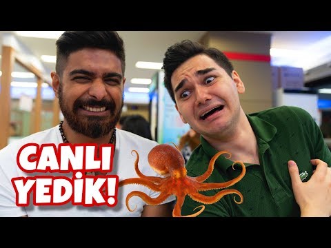 Video: Tirik Ahtapotni Iste'mol Qilish Mumkinmi?