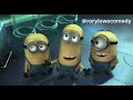 Aussie despicable me