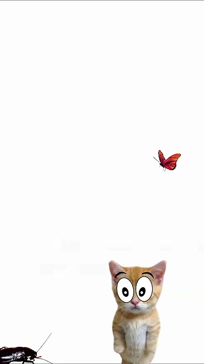 semuanya takut kecoa 😭😭 #bananacat #catmemes