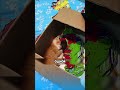 Дружба КОТЁНКА и ВОРОБЬЯ вас удивит 😱