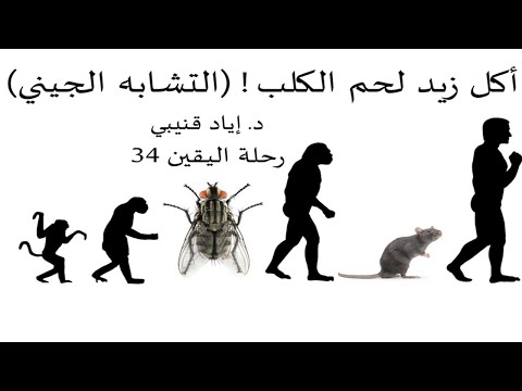 الدكتور إياد قنيبي - القناة الرسمية