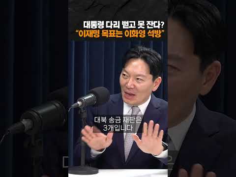 박상용 "이재명 목표는 이화영 석방"