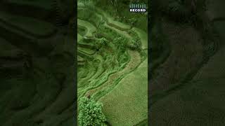 Deng Basudara Kandunge  Jimmy Titarsole U0026 Hellas Group  Spuluh Tujuh Taong