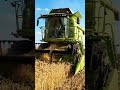 #agriculture #tractor #technology #home #village #farmers#made_in_india #former#harvester #village