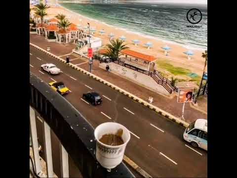 عمرو دياب في يوم هنعود ده بينا وعود حالات واتس