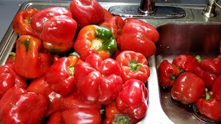 How to Store Bell Peppers for Long Term Use | How to Blanch Bell Peppers before Freezing