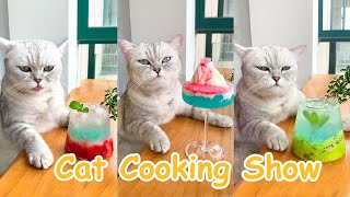 Chef Cat Cooking: Yummy Drinks Compilation! | 5 Easy Drinks You Can DIY at Home | Cute Cat TikToks