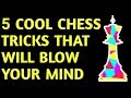 Two Knights Defense Traps: Chess Opening Tricks to Win Fast |Best Checkmate Moves, Strategy & Ideas