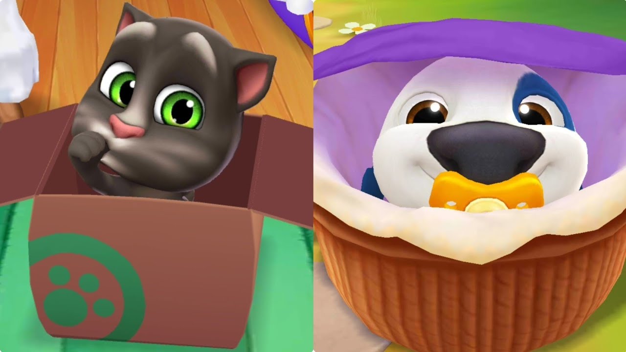 Baby Talking Tom-2 Vs Baby Talking Hank Old 