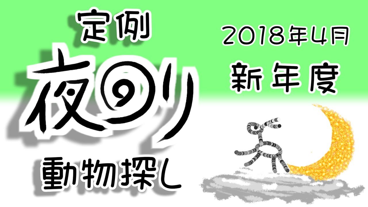 野鳥雨靴 定例夜回り動物探し 2018年4月 草木伸びる