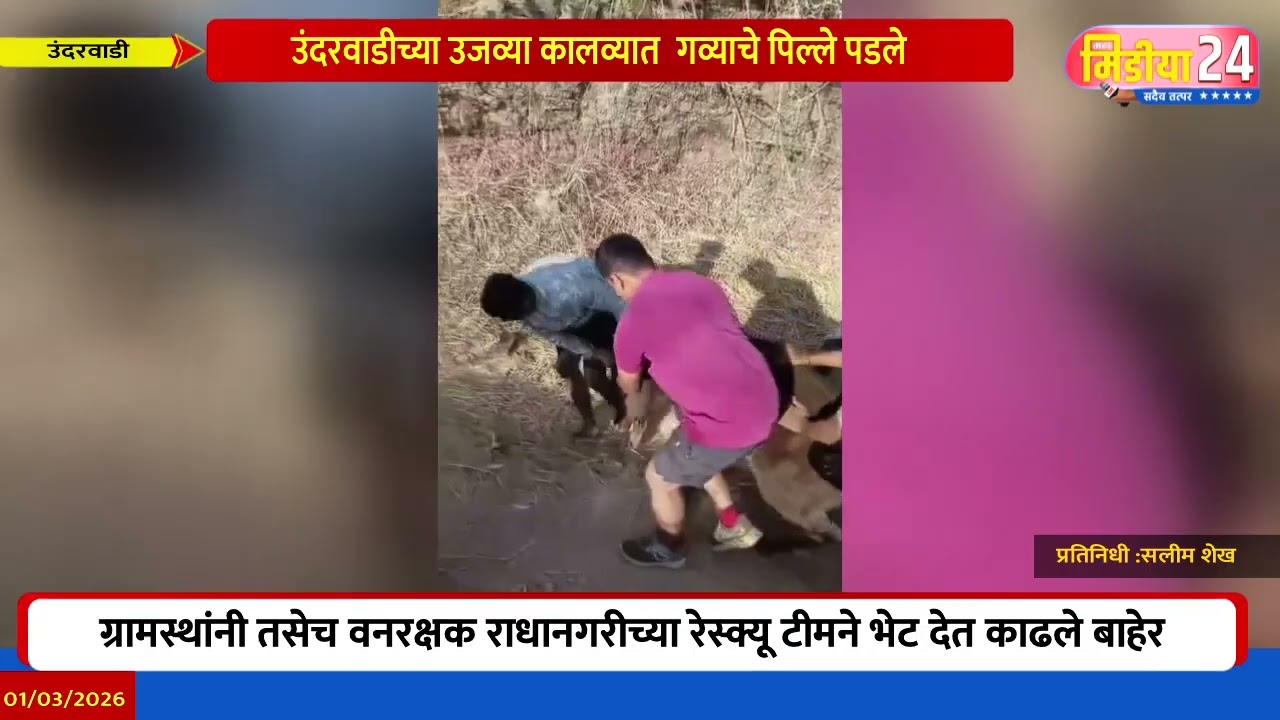 उंदरवाडीच्या उजव्या कालव्यात  गव्याचे पिल्ले पडले