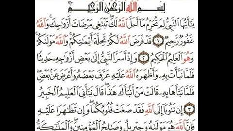 تجويد سورة التحريم من الايه (١_٤) وشرح مبسط لأحكام التجويد