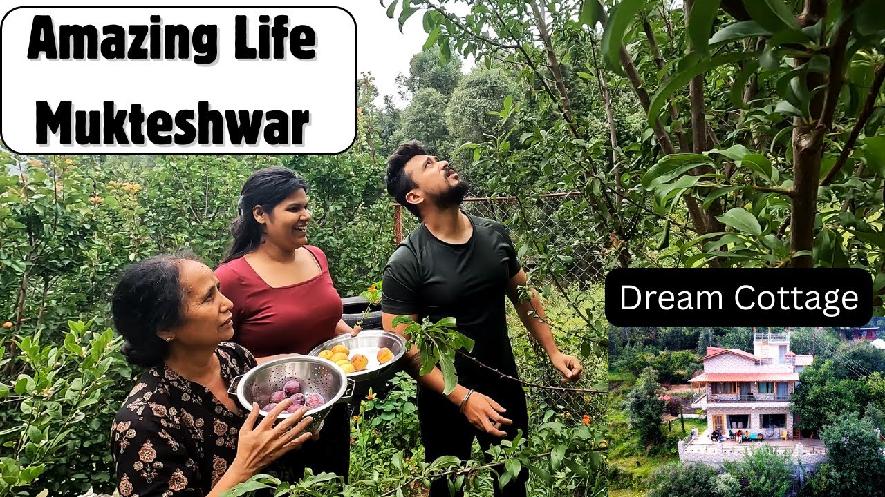 Enjoying Fruit Harvesting in Pahadi Cottage of Muktshwar | Cooked South India Dishes In Mountain