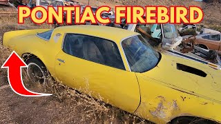 Exploring Hidden Automotive Treasures at a Junk Yard on Route 66 by Route 66 Road Relics Finding Junkyards & Car Shows 3,880 views 5 months ago 13 minutes, 40 seconds