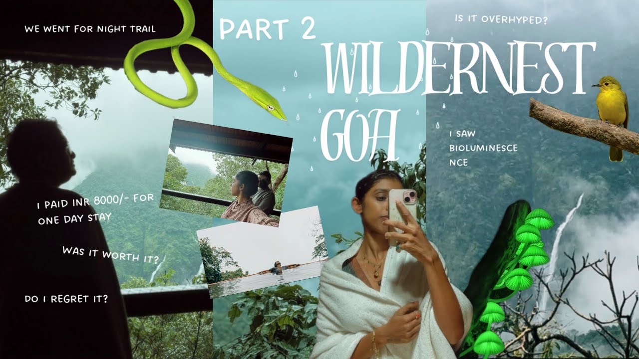 Wildernest Goa Part 2 🐍🦉🌳 From Freezing Pool to Glowing Forests | Was it worth it? 