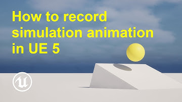 How to record simulation animation in Unreal Engine 5