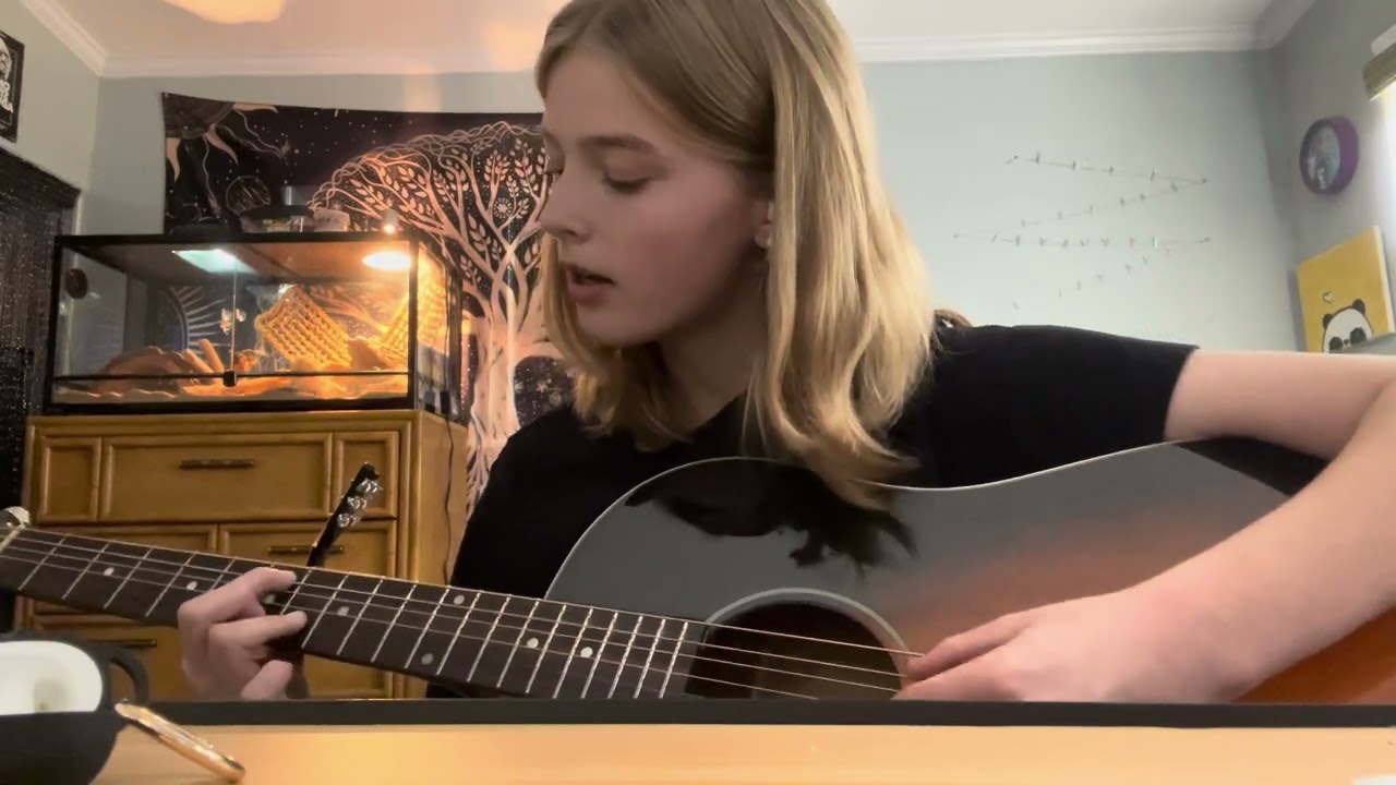 The Beatles- Blackbird (NO COPYRIGHTS) 