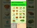 Probiotics vs Prebiotics: What’s the Difference? 🧠✨ #GutHealth #Probiotics #Prebiotics