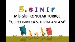 Gerçek mecaz terim yan anlam