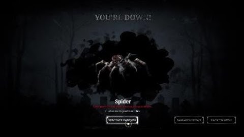 HUNT: SHOWDOWN Spider Glitch