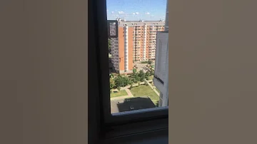 Как убить малярийного комара?