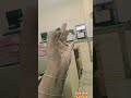 #hand dance 😂